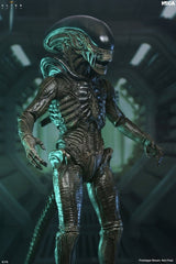 Alien: Earth Ultimate Action Figure Xenomorph 18 cm 0634482517567