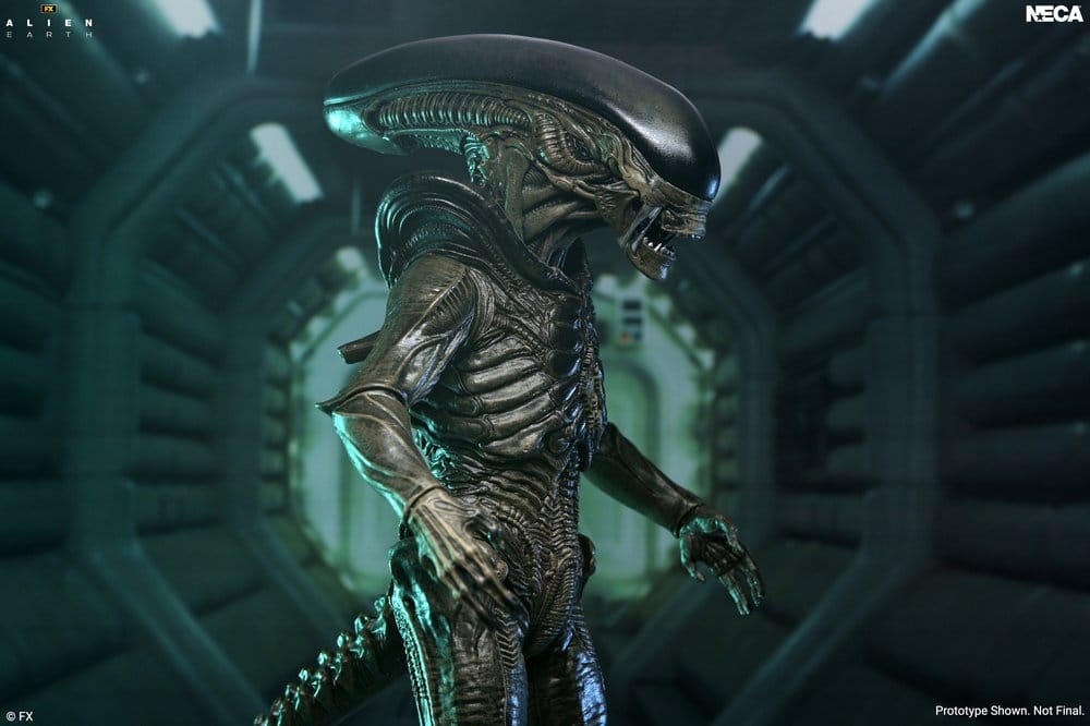 Alien: Earth Ultimate Action Figure Xenomorph 18 cm 0634482517567