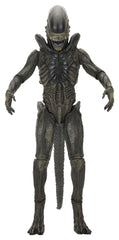 Alien: Earth Ultimate Action Figure Xenomorph 18 cm 0634482517567