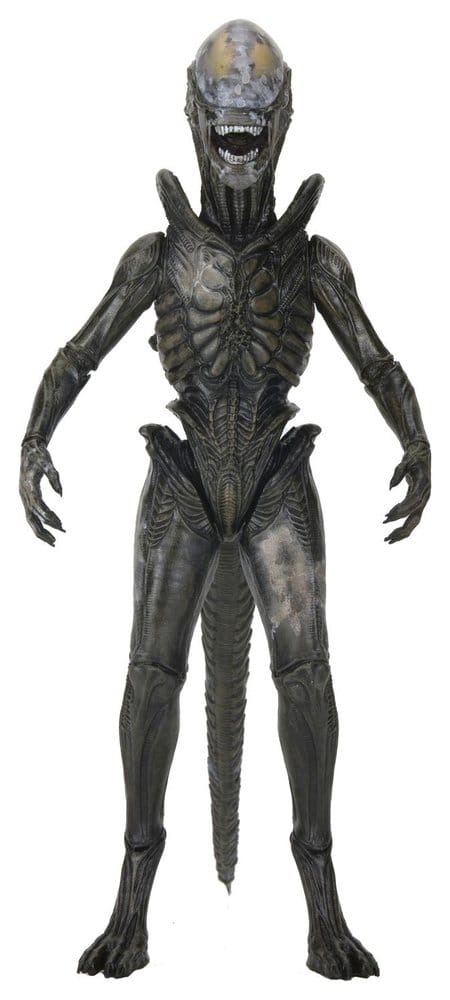 Alien: Earth Ultimate Action Figure Wendy's Xenomorph 18 cm 0634482517666