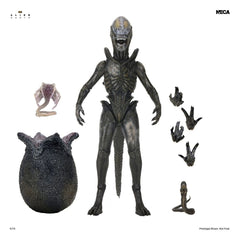 Alien: Earth Ultimate Action Figure Wendy's Xenomorph 18 cm 0634482517666