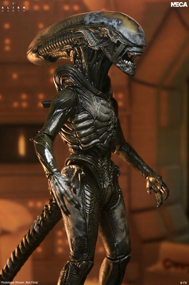Alien: Earth Ultimate Action Figure Wendy's Xenomorph 18 cm 0634482517666