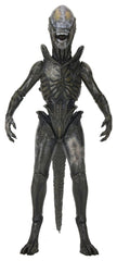 Alien: Earth Ultimate Action Figure Wendy's Xenomorph 18 cm 0634482517666