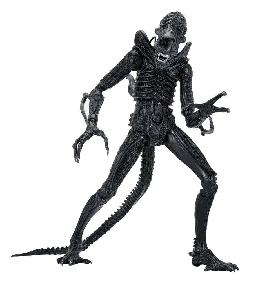 Aliens Ultimate Actionfigur Warrior (1986) Xenomorph Black (40th Anniversary) 23 cmAliens Ultimate Action Figure Warrior (1986) Xenomorph Black (40th Anniversary) 23 cmAliens Ultimate figurine Warrior (1986) Xenomorph Black (40th Anniversary) 23 cmAliens  0634482517963
