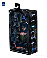 Aliens Ultimate Actionfigur Warrior (1986) Xenomorph Black (40th Anniversary) 23 cmAliens Ultimate Action Figure Warrior (1986) Xenomorph Black (40th Anniversary) 23 cmAliens Ultimate figurine Warrior (1986) Xenomorph Black (40th Anniversary) 23 cmAliens  0634482517963