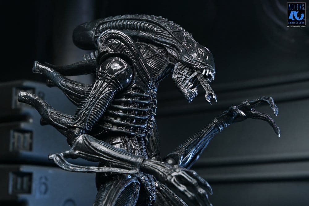 Aliens Ultimate Actionfigur Warrior (1986) Xenomorph Black (40th Anniversary) 23 cmAliens Ultimate Action Figure Warrior (1986) Xenomorph Black (40th Anniversary) 23 cmAliens Ultimate figurine Warrior (1986) Xenomorph Black (40th Anniversary) 23 cmAliens  0634482517963