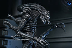 Aliens Ultimate Actionfigur Warrior (1986) Xenomorph Black (40th Anniversary) 23 cmAliens Ultimate Action Figure Warrior (1986) Xenomorph Black (40th Anniversary) 23 cmAliens Ultimate figurine Warrior (1986) Xenomorph Black (40th Anniversary) 23 cmAliens  0634482517963