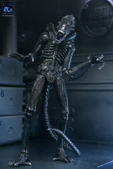 Aliens Ultimate Actionfigur Warrior (1986) Xenomorph Black (40th Anniversary) 23 cmAliens Ultimate Action Figure Warrior (1986) Xenomorph Black (40th Anniversary) 23 cmAliens Ultimate figurine Warrior (1986) Xenomorph Black (40th Anniversary) 23 cmAliens  0634482517963