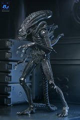 Aliens Ultimate Actionfigur Warrior (1986) Xenomorph Black (40th Anniversary) 23 cmAliens Ultimate Action Figure Warrior (1986) Xenomorph Black (40th Anniversary) 23 cmAliens Ultimate figurine Warrior (1986) Xenomorph Black (40th Anniversary) 23 cmAliens  0634482517963