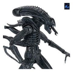 Aliens Ultimate Actionfigur Warrior (1986) Xenomorph Black (40th Anniversary) 23 cmAliens Ultimate Action Figure Warrior (1986) Xenomorph Black (40th Anniversary) 23 cmAliens Ultimate figurine Warrior (1986) Xenomorph Black (40th Anniversary) 23 cmAliens  0634482517963
