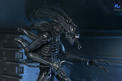 Aliens Ultimate Actionfigur Warrior (1986) Xenomorph Black (40th Anniversary) 23 cmAliens Ultimate Action Figure Warrior (1986) Xenomorph Black (40th Anniversary) 23 cmAliens Ultimate figurine Warrior (1986) Xenomorph Black (40th Anniversary) 23 cmAliens  0634482517963