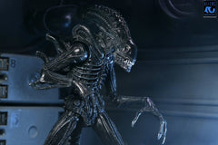 Aliens Ultimate Actionfigur Warrior (1986) Xenomorph Black (40th Anniversary) 23 cmAliens Ultimate Action Figure Warrior (1986) Xenomorph Black (40th Anniversary) 23 cmAliens Ultimate figurine Warrior (1986) Xenomorph Black (40th Anniversary) 23 cmAliens  0634482517963