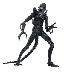 Aliens Ultimate Actionfigur Warrior (1986) Xenomorph Black (40th Anniversary) 23 cmAliens Ultimate Action Figure Warrior (1986) Xenomorph Black (40th Anniversary) 23 cmAliens Ultimate figurine Warrior (1986) Xenomorph Black (40th Anniversary) 23 cmAliens  0634482517963