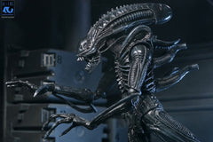 Aliens Ultimate Actionfigur Warrior (1986) Xenomorph Black (40th Anniversary) 23 cmAliens Ultimate Action Figure Warrior (1986) Xenomorph Black (40th Anniversary) 23 cmAliens Ultimate figurine Warrior (1986) Xenomorph Black (40th Anniversary) 23 cmAliens  0634482517963
