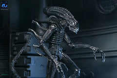 Aliens Ultimate Actionfigur Warrior (1986) Xenomorph Black (40th Anniversary) 23 cmAliens Ultimate Action Figure Warrior (1986) Xenomorph Black (40th Anniversary) 23 cmAliens Ultimate figurine Warrior (1986) Xenomorph Black (40th Anniversary) 23 cmAliens  0634482517963