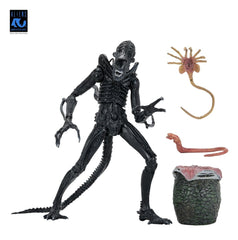 Aliens Ultimate Actionfigur Warrior (1986) Xenomorph Black (40th Anniversary) 23 cmAliens Ultimate Action Figure Warrior (1986) Xenomorph Black (40th Anniversary) 23 cmAliens Ultimate figurine Warrior (1986) Xenomorph Black (40th Anniversary) 23 cmAliens  0634482517963