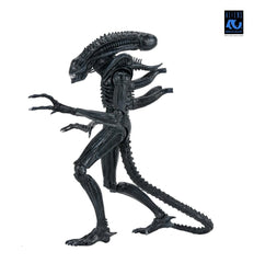 Aliens Ultimate Actionfigur Warrior (1986) Xenomorph Black (40th Anniversary) 23 cmAliens Ultimate Action Figure Warrior (1986) Xenomorph Black (40th Anniversary) 23 cmAliens Ultimate figurine Warrior (1986) Xenomorph Black (40th Anniversary) 23 cmAliens  0634482517963