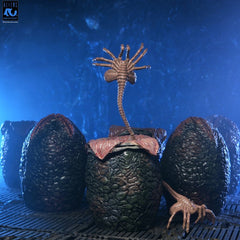 Aliens 6er-Pack Zubehör-Set Carton of Alien Eggs (40th Anniversary)Aliens 6-Pack Accessory Pack Carton of Alien Eggs (40th Anniversary)Aliens pack de 6 accessoires Carton of Alien Eggs (40th Anniversary)Aliens Pack de 6 Accesorios Carton of Alien Eggs (40 0634482517987