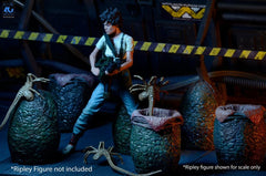 Aliens 6er-Pack Zubehör-Set Carton of Alien Eggs (40th Anniversary)Aliens 6-Pack Accessory Pack Carton of Alien Eggs (40th Anniversary)Aliens pack de 6 accessoires Carton of Alien Eggs (40th Anniversary)Aliens Pack de 6 Accesorios Carton of Alien Eggs (40 0634482517987