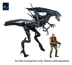 Aliens Ultra Deluxe Actionfigur Alien Queen (40th Anniversary) 38 cmAliens Ultra Deluxe Action Figure Alien Queen (40th Anniversary) 38 cmAliens Ultra Deluxe figurine Alien Queen (40th Anniversary) 38 cmAliens Ultra Deluxe Figura Alien Queen (40th Anniver 0634482518007