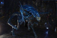 Aliens Ultra Deluxe Actionfigur Alien Queen (40th Anniversary) 38 cmAliens Ultra Deluxe Action Figure Alien Queen (40th Anniversary) 38 cmAliens Ultra Deluxe figurine Alien Queen (40th Anniversary) 38 cmAliens Ultra Deluxe Figura Alien Queen (40th Anniver 0634482518007