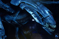 Aliens Ultra Deluxe Actionfigur Alien Queen (40th Anniversary) 38 cmAliens Ultra Deluxe Action Figure Alien Queen (40th Anniversary) 38 cmAliens Ultra Deluxe figurine Alien Queen (40th Anniversary) 38 cmAliens Ultra Deluxe Figura Alien Queen (40th Anniver 0634482518007