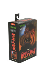 Universal Monsters x Teenage Mutant Ninja Turtles Action Figure Ultimate Raphael as The Wolfman 18 cm 0634482543009