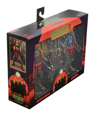 Teenage Mutant Ninja Turtles III Action Figure 2-Pack Leonardo & Michelangelo 18 cm 0634482543849