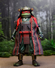 Teenage Mutant Ninja Turtles III Action Figure 2-Pack Donatello & Raphael 18 cm 0634482543856