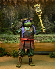 Teenage Mutant Ninja Turtles III Action Figure 2-Pack Donatello & Raphael 18 cm 0634482543856