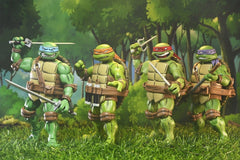 Teenage Mutant Ninja Turtles x Usagi Yojimbo Ultimate Action Figure Raphael 18 cm 0634482544631