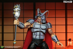 Teenage Mutant Ninja Turtles (Mirage Comics) Action Figure Savanti Romero Warlord 18 cm 0634482544808