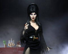 Elvira, Mistress of the Dark Clothed Action Figure 20 cm 0634482560617