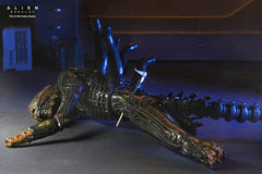 Alien: Romulus Action Figure Deluxe Suspended Lab Xenomorph XX121 18 cm 0634482517437