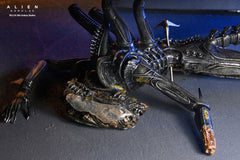 Alien: Romulus Action Figure Deluxe Suspended Lab Xenomorph XX121 18 cm 0634482517437