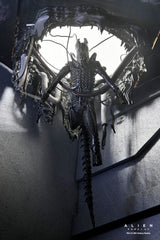 Alien: Romulus Action Figure Deluxe Suspended Lab Xenomorph XX121 18 cm 0634482517437