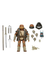 Teenage Mutant Ninja Turtles: The Last Ronin Action Figure Ultimate Moja (Re-Evolution) 18 cm 0634482544150