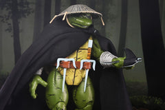 Teenage Mutant Ninja Turtles Action Figure Old Man Raphael 18 cm 0634482544525