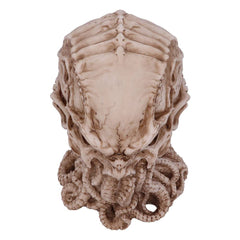 Cthulhu Figure Skull 20 cm 0801269140779