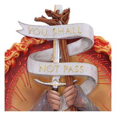 The Lord of the Rings Wall Plaque You Shall Not Pass 30 cm 0801269153687