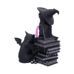 Cult Cuties Figure Curious Cauldron 18 cm 0801269158651