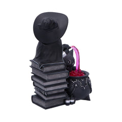 Cult Cuties Figure Curious Cauldron 18 cm 0801269158651