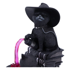 Cult Cuties Figure Curious Cauldron 18 cm 0801269158651