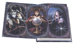 Anne Stokes Notizbuch The Book of Shadows A5 18 cmAnne Stokes Journal The Book of Shadows A5 18 cmAnne Stokes journal The Book of Shadows A5 18 cmAnne Stokes Diario The Book of Shadows A5 18 cm 0801269162245
