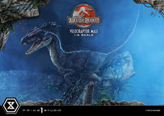 Jurassic Park III Legacy Museum Collection St 4580708048857