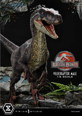 Jurassic Park III Legacy Museum Collection St 4580708048857