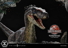 Jurassic Park III Legacy Museum Collection Statue 1/6 Velociraptor Male 40 cm 4580708048857