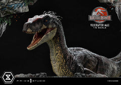 Jurassic Park III Legacy Museum Collection Statue 1/6 Velociraptor Male 40 cm 4580708048857