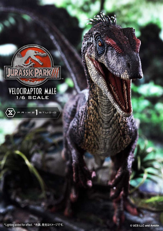 Jurassic Park III Legacy Museum Collection Statue 1/6 Velociraptor Male Bonus Version 40 cm 4580708049014
