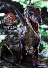 Jurassic Park III Legacy Museum Collection Statue 1/6 Velociraptor Male Bonus Version 40 cm 4580708049014